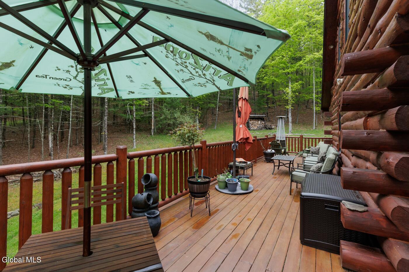 47 Roney Road Preston Hollow NY 12469