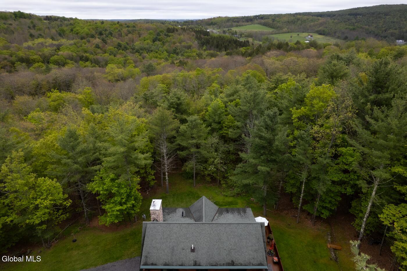 47 Roney Road Preston Hollow NY 12469