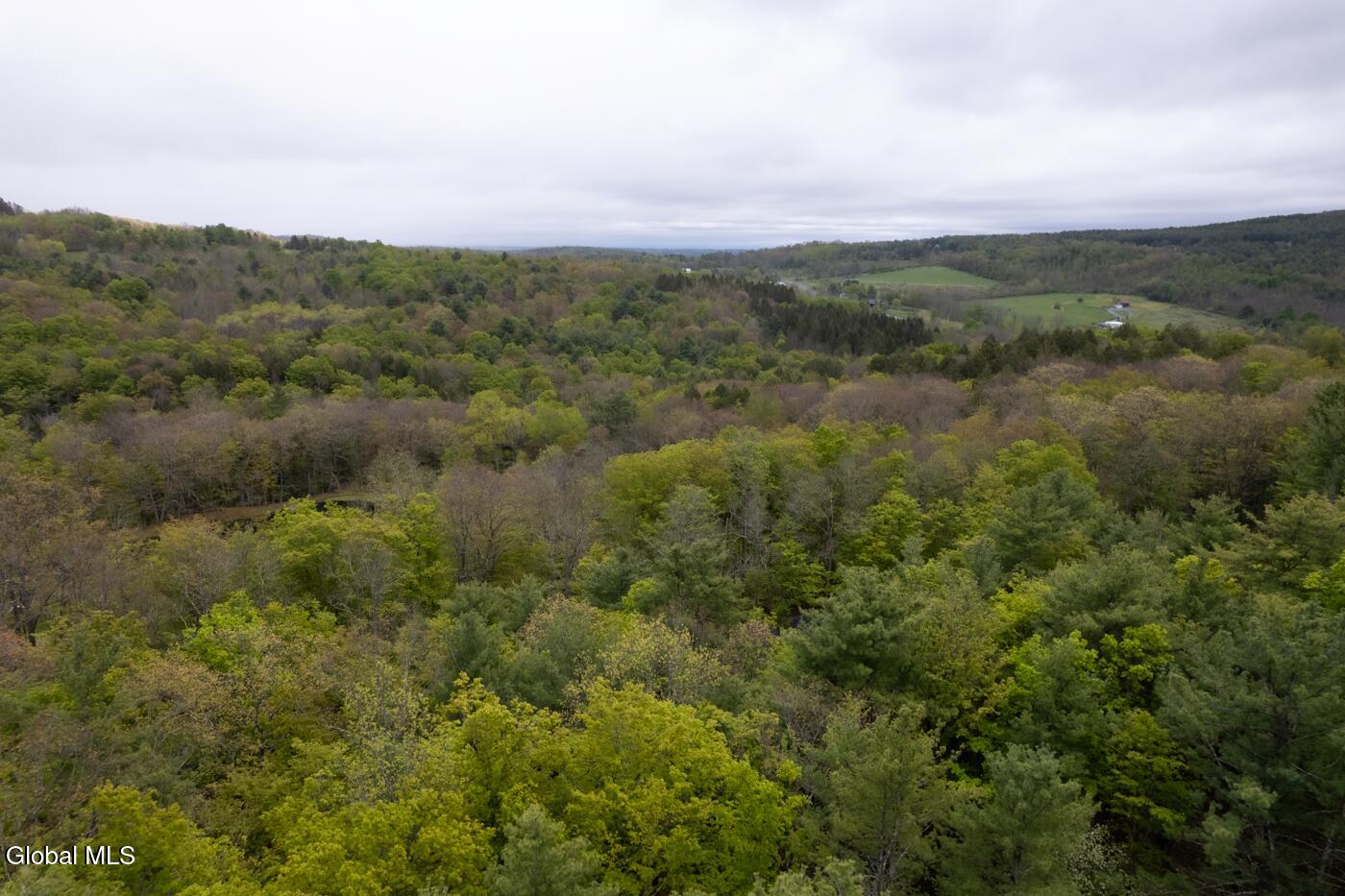 47 Roney Road Preston Hollow NY 12469