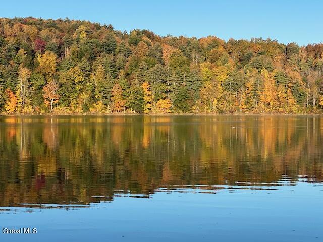17 Ridge Lane East Berne NY 12059