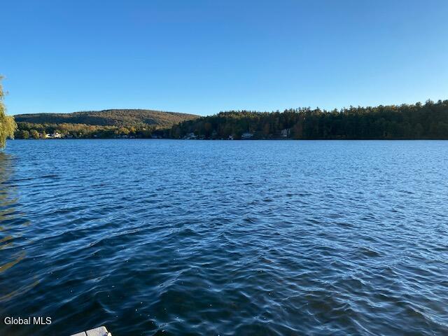 17 Ridge Lane East Berne NY 12059
