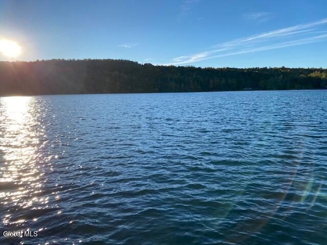 17 Ridge Lane East Berne NY 12059