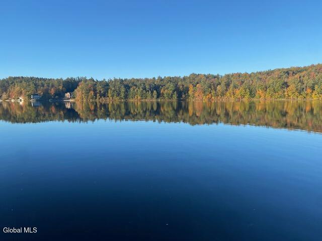 17 Ridge Lane East Berne NY 12059