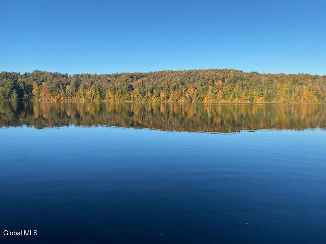 17 Ridge Lane East Berne NY 12059