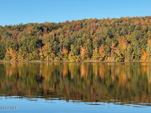 17 Ridge Lane East Berne NY 12059