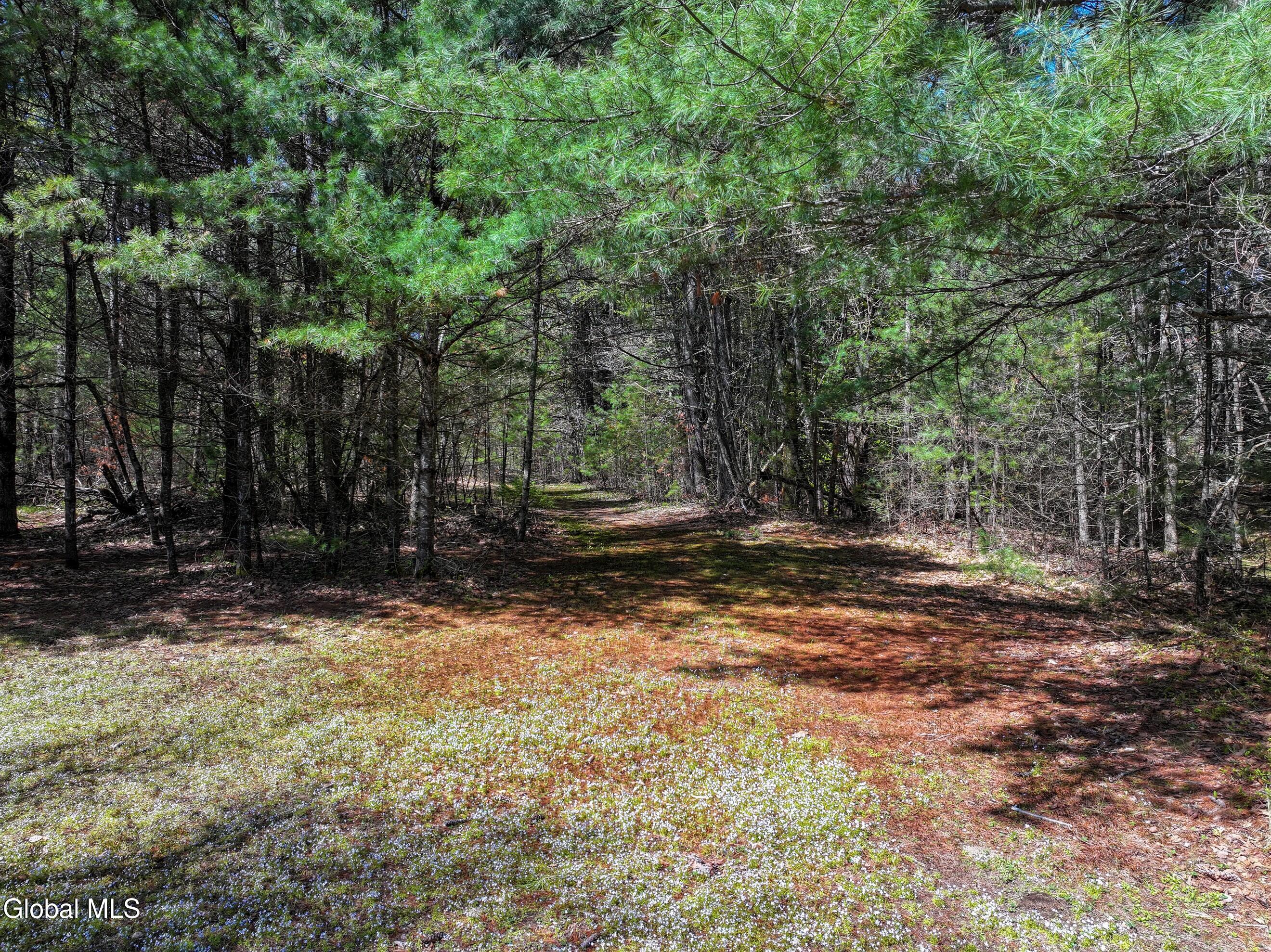 16 Paradise Drive Lake Luzerne NY 12846