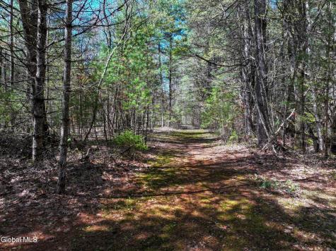 16 Paradise Drive Lake Luzerne NY 12846