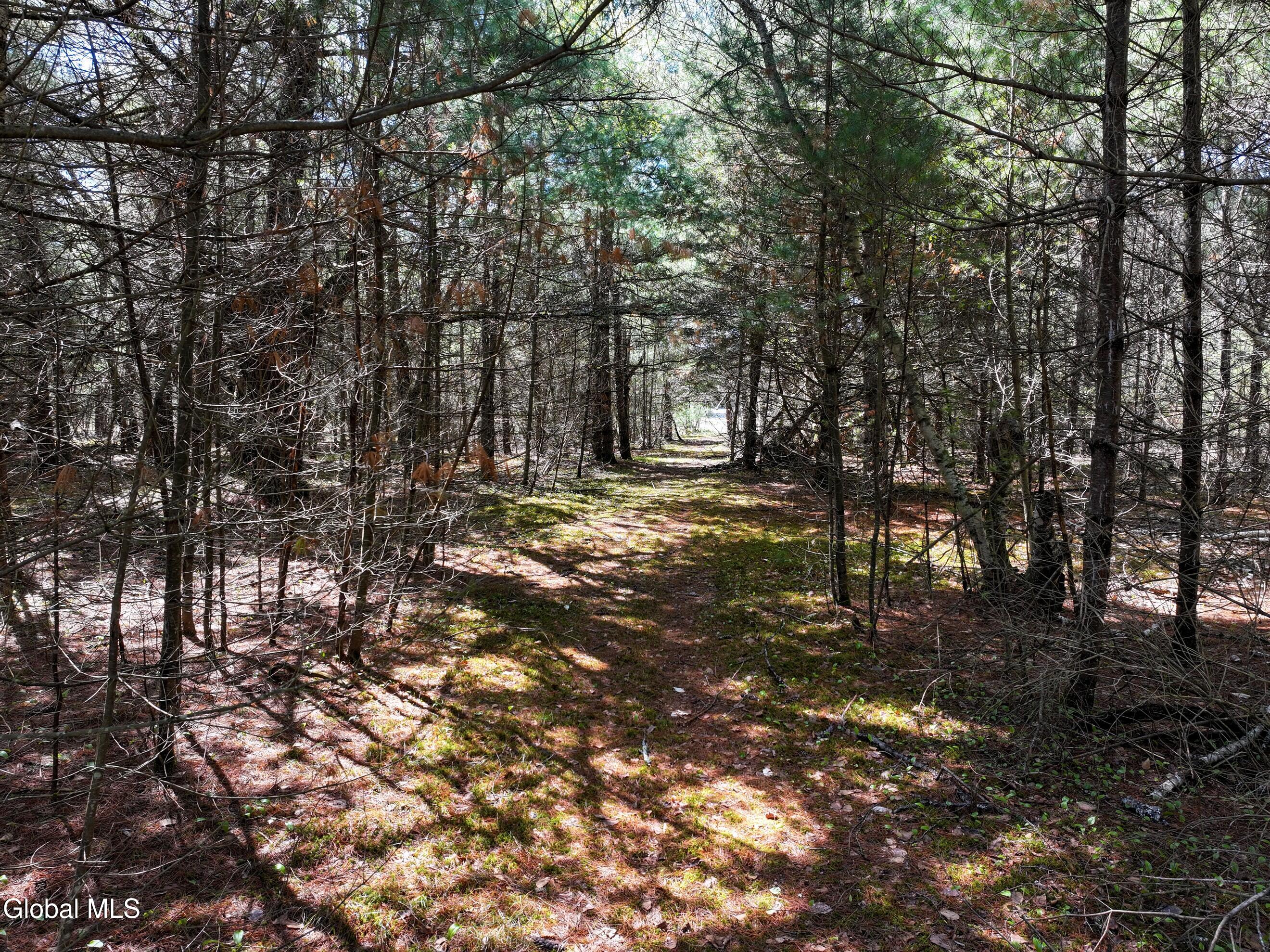 16 Paradise Drive Lake Luzerne NY 12846