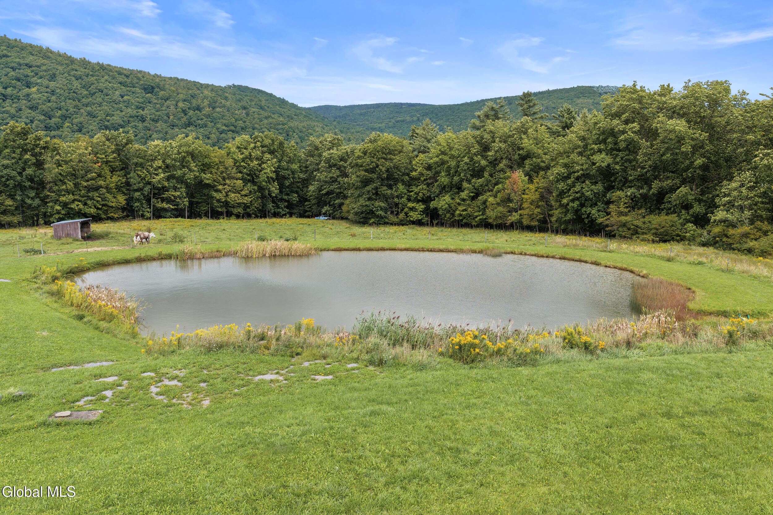 285 Gridley Road Middleburgh NY 12122