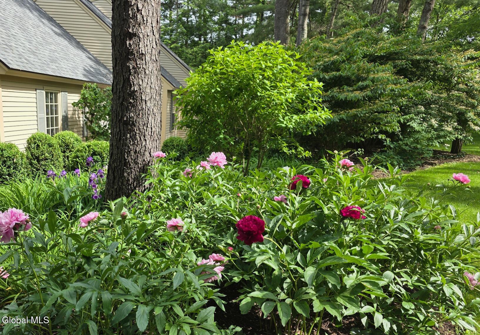218 Swift Road Voorheesville NY 12186