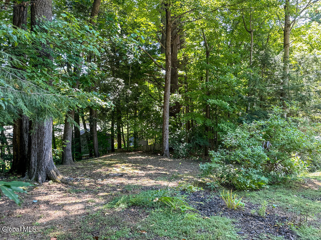 16 Summit Drive Lake George NY 12845