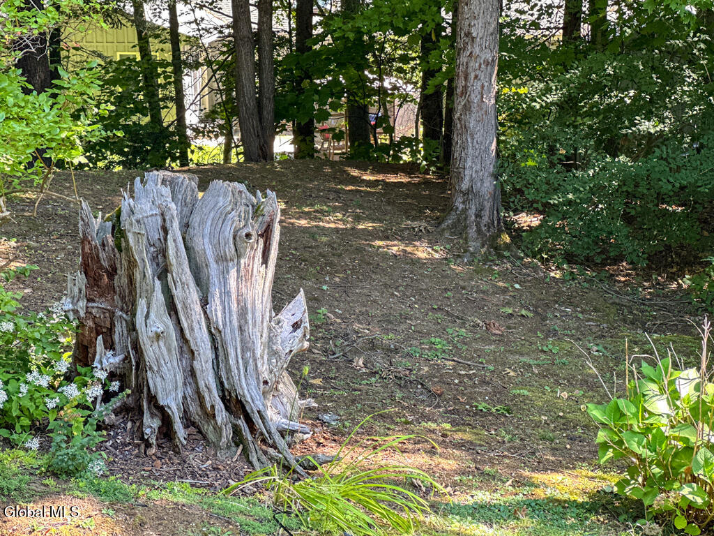 16 Summit Drive Lake George NY 12845