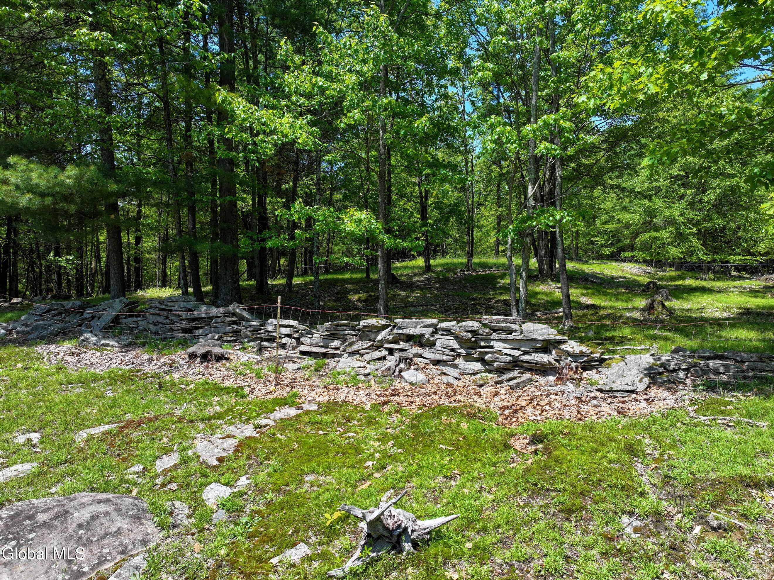 1710 Truthville Road Whitehall NY 12887