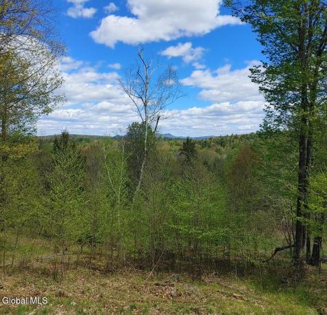 1710 Truthville Road Whitehall NY 12887