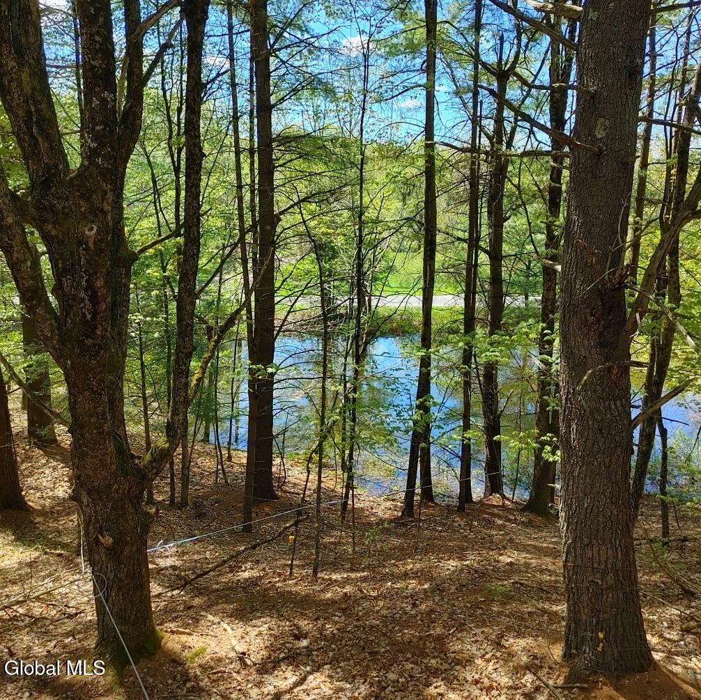 1710 Truthville Road Whitehall NY 12887