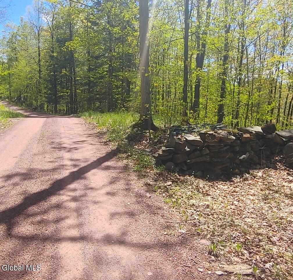 1710 Truthville Road Whitehall NY 12887