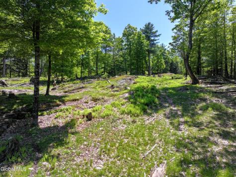 1710 Truthville Road Whitehall NY 12887