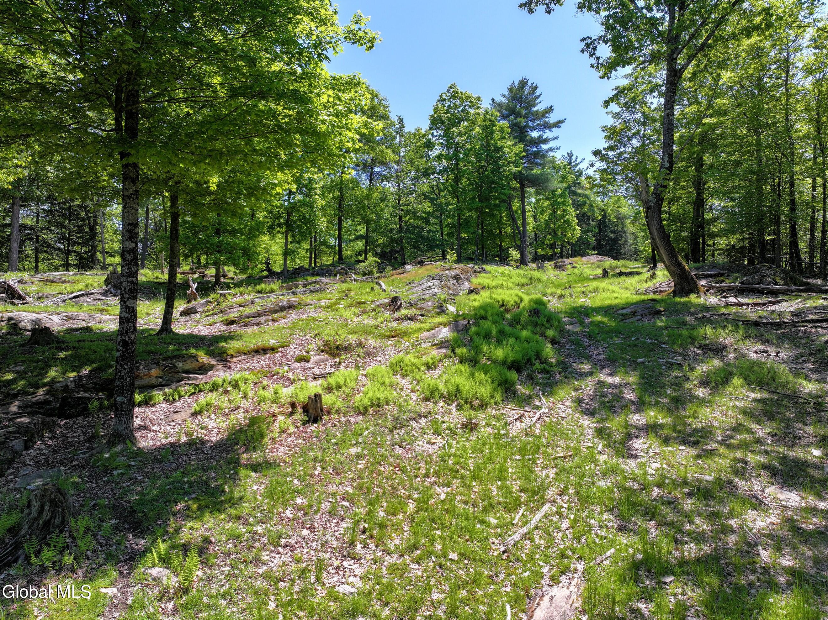 1710 Truthville Road Whitehall NY 12887