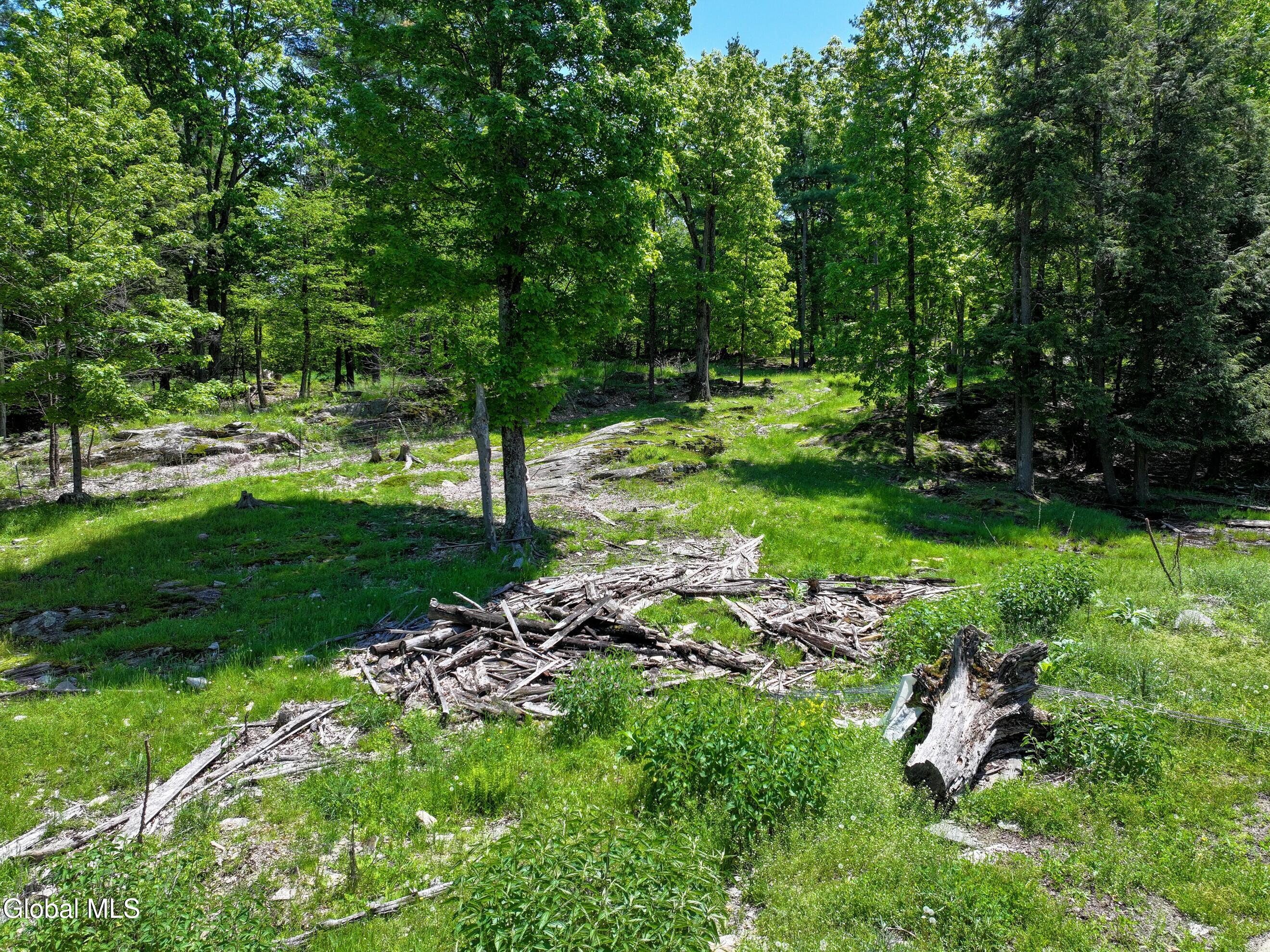1710 Truthville Road Whitehall NY 12887
