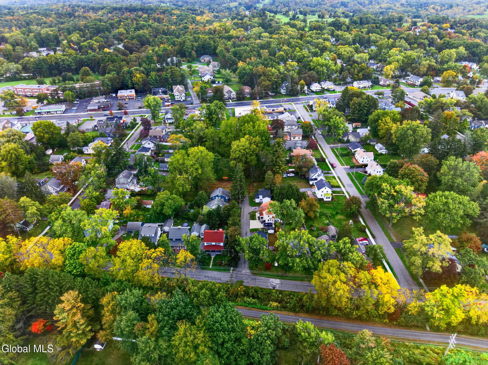3 Ellsworth Place Delmar NY 12054