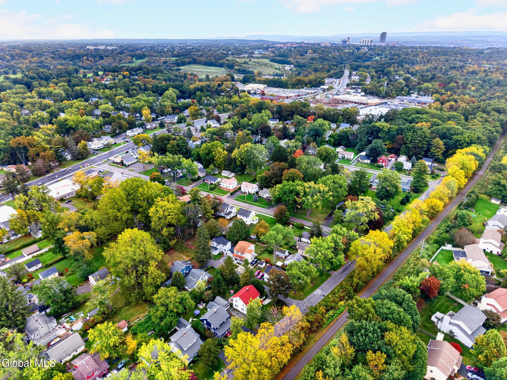 3 Ellsworth Place Delmar NY 12054