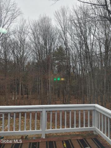 413 Liddle Harris Road Putnam Station NY 12861
