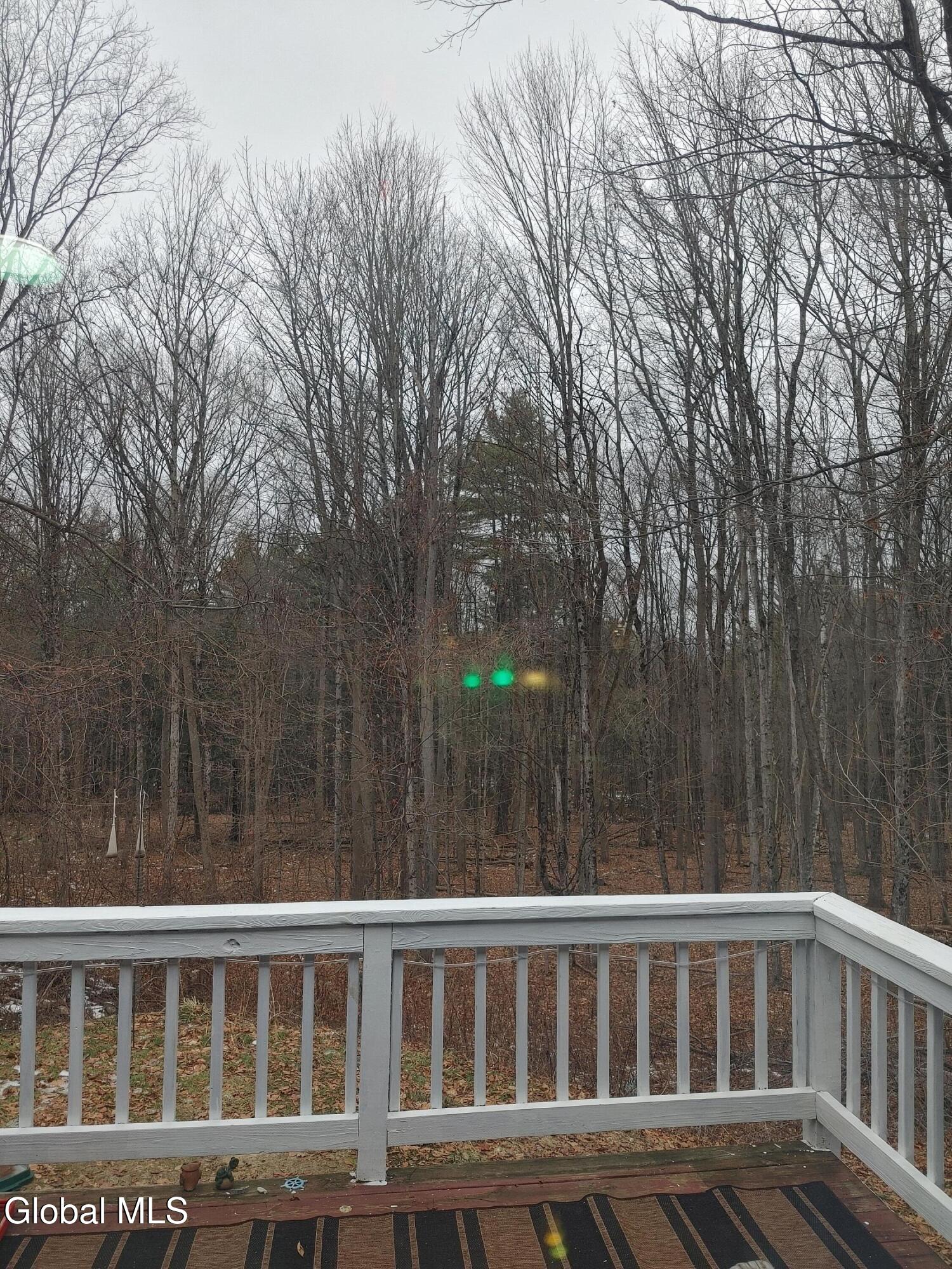 413 Liddle Harris Road Putnam Station NY 12861