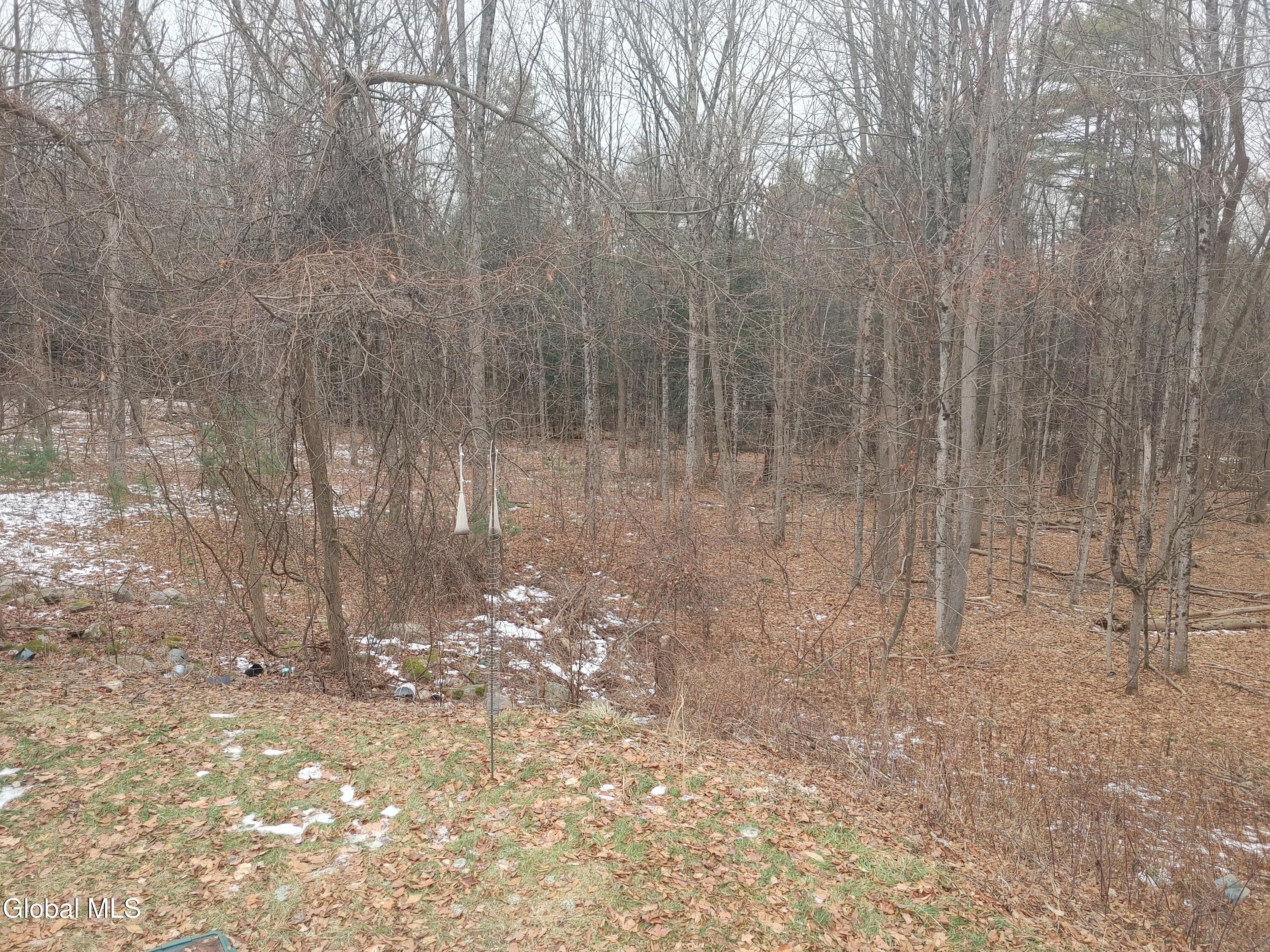 413 Liddle Harris Road Putnam Station NY 12861