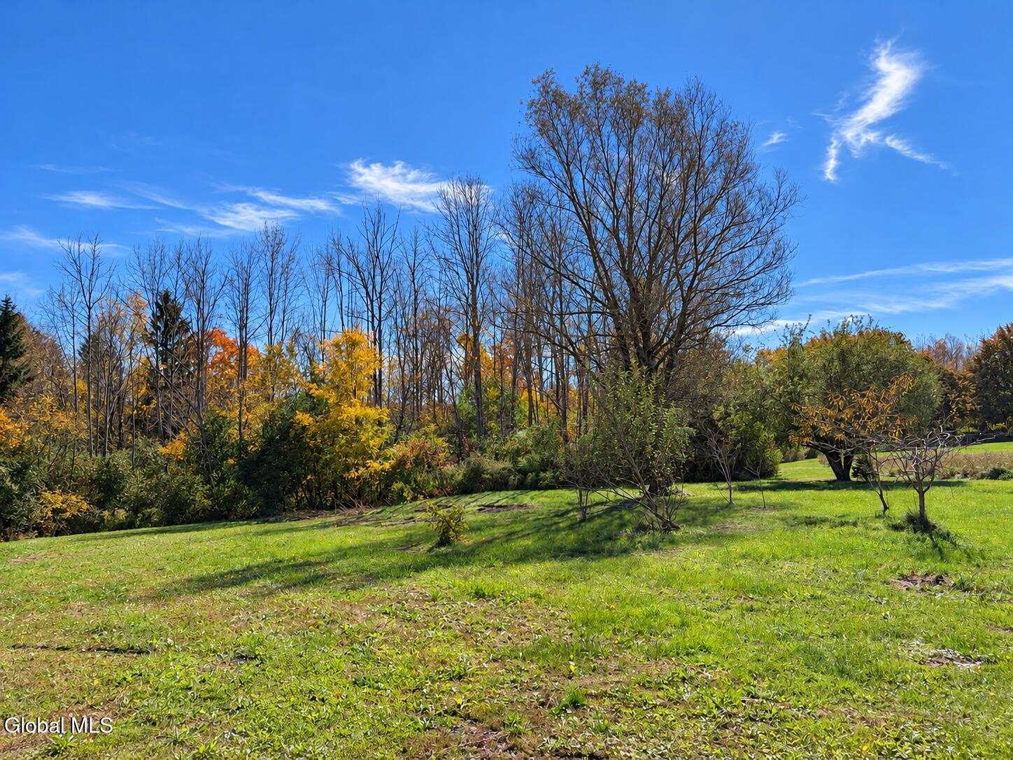 3609 New York 85 Westerlo NY 12193