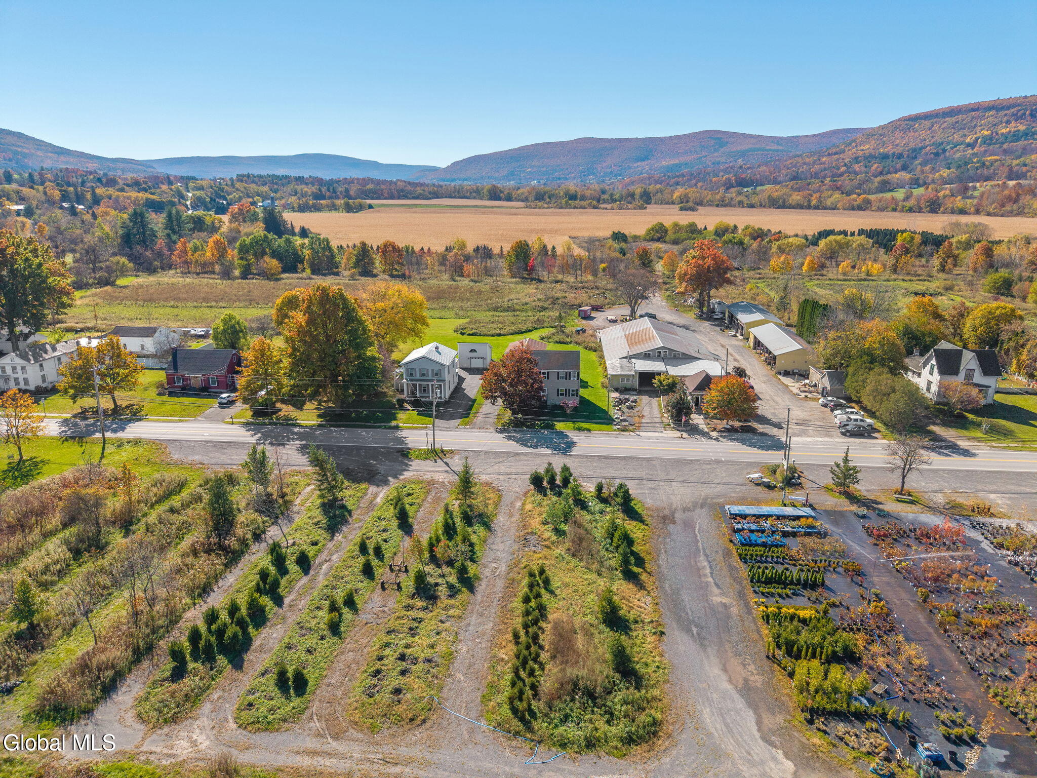 147 Bridge Street Schoharie NY 12157