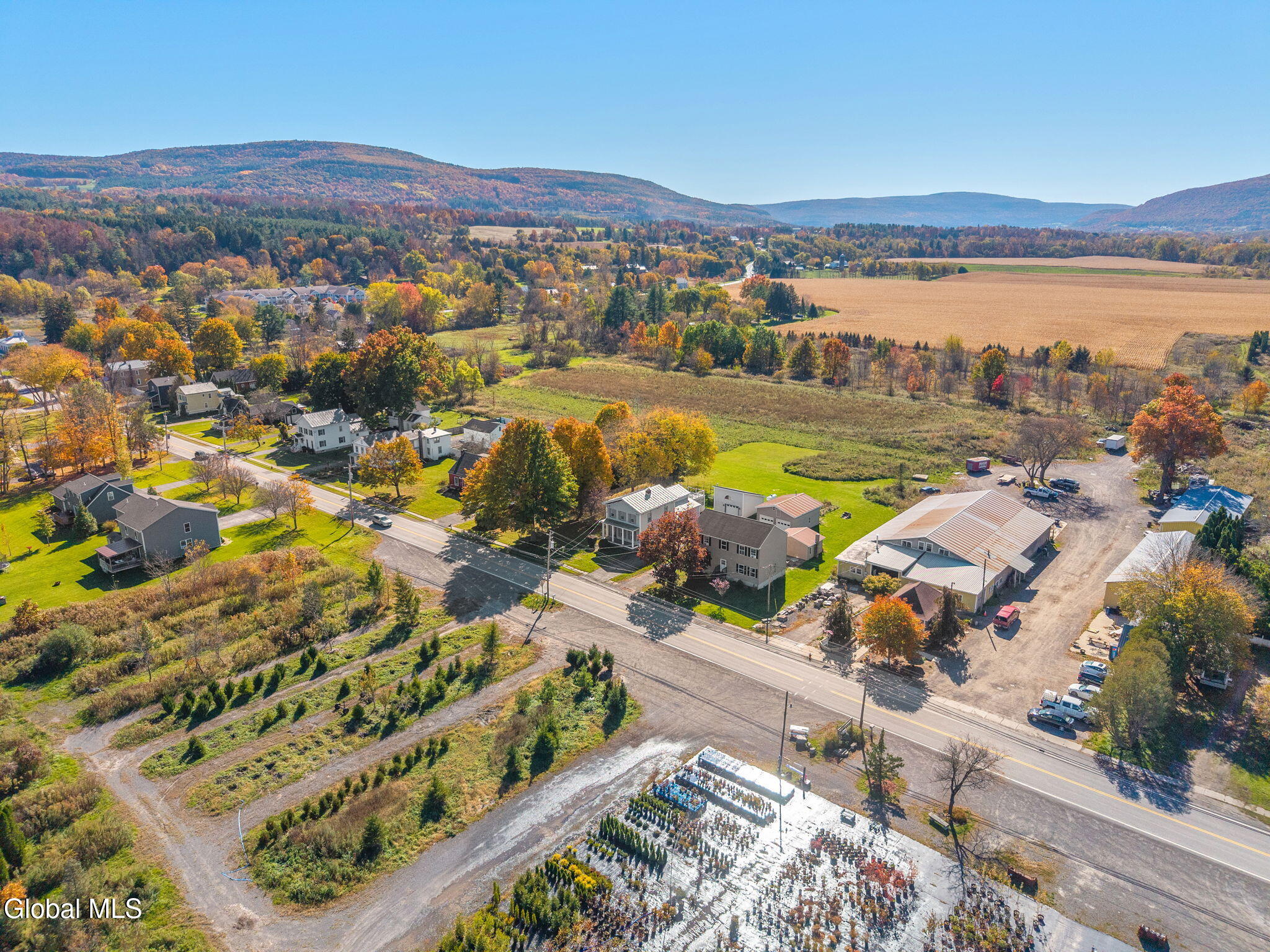 147 Bridge Street Schoharie NY 12157