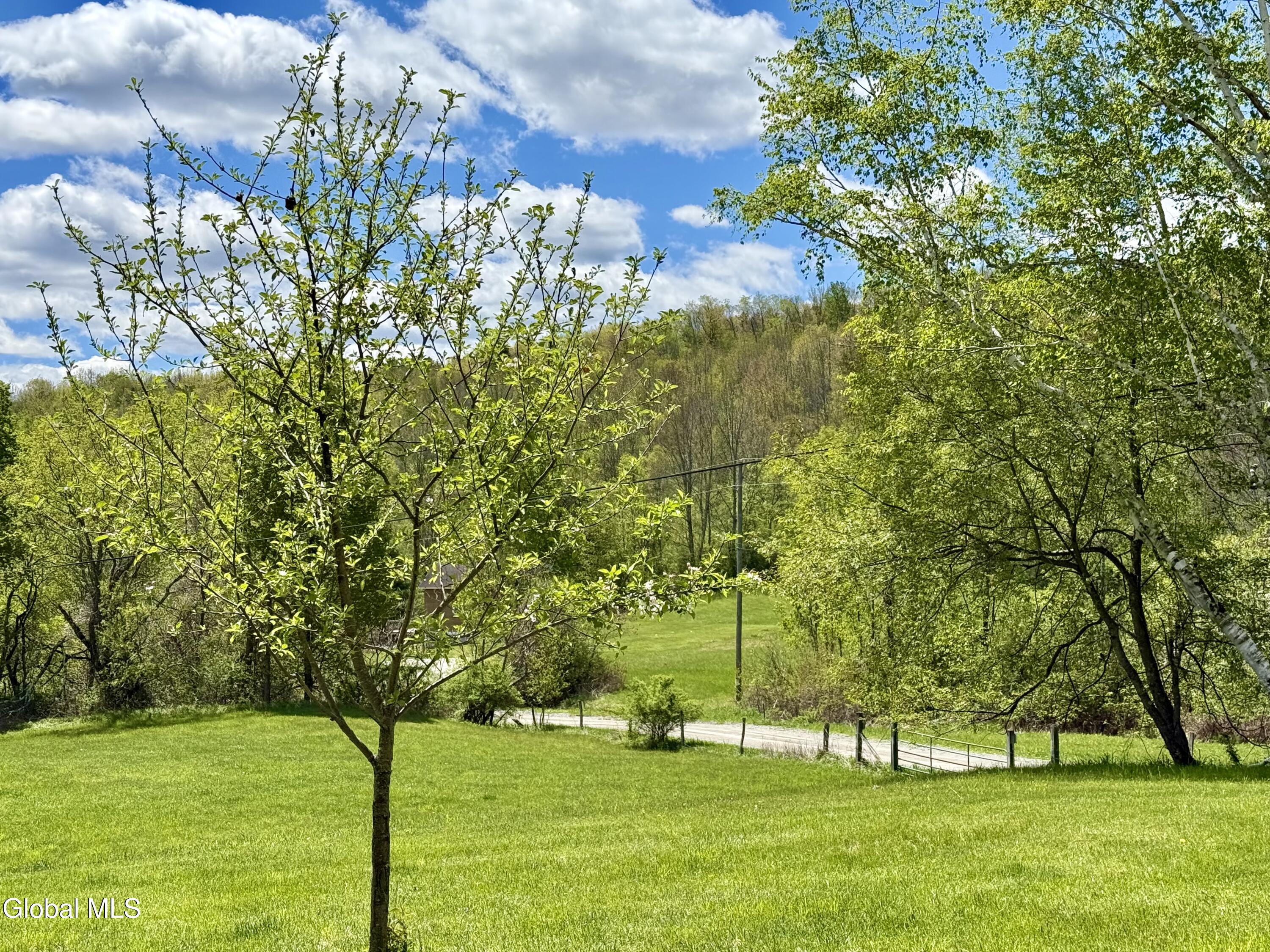 234 S Grimes Hill Road Hebron NY 12832
