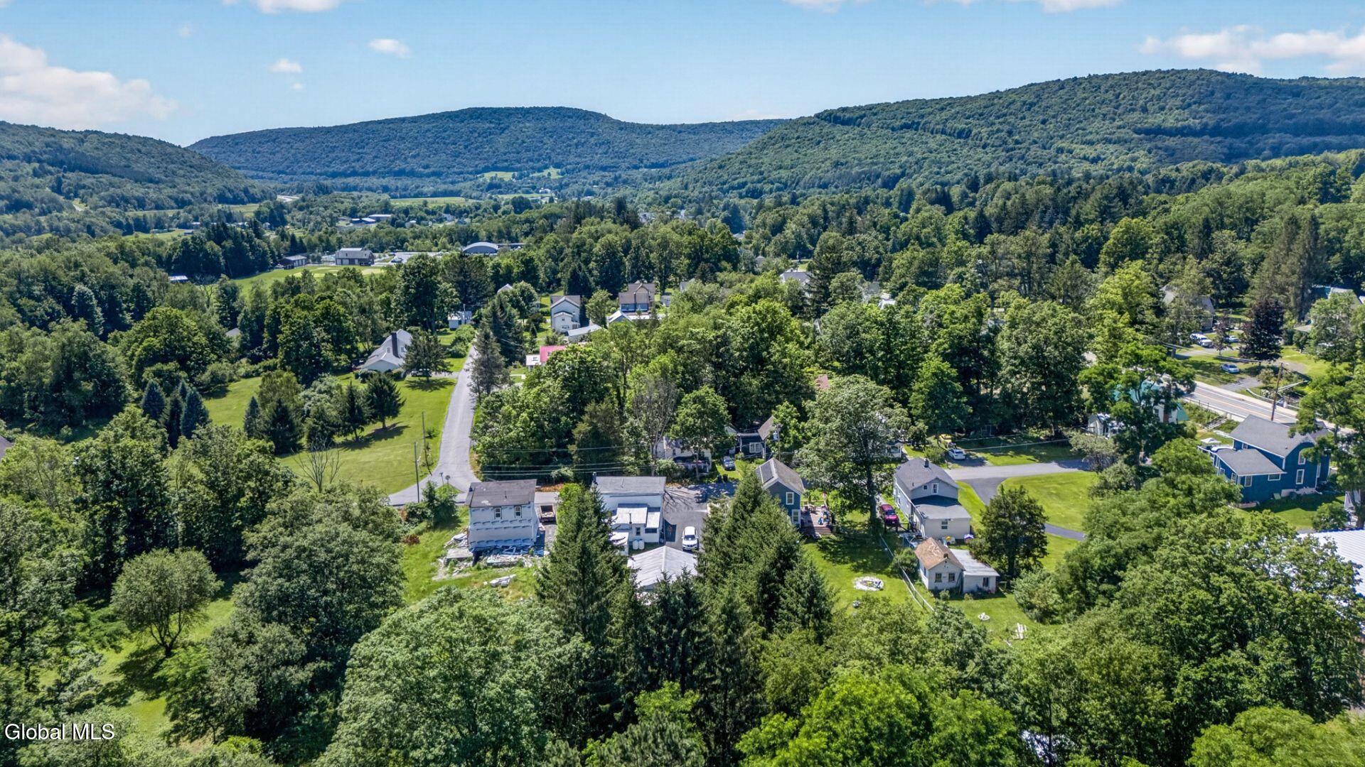 11 Mill Street Worcester NY 12197