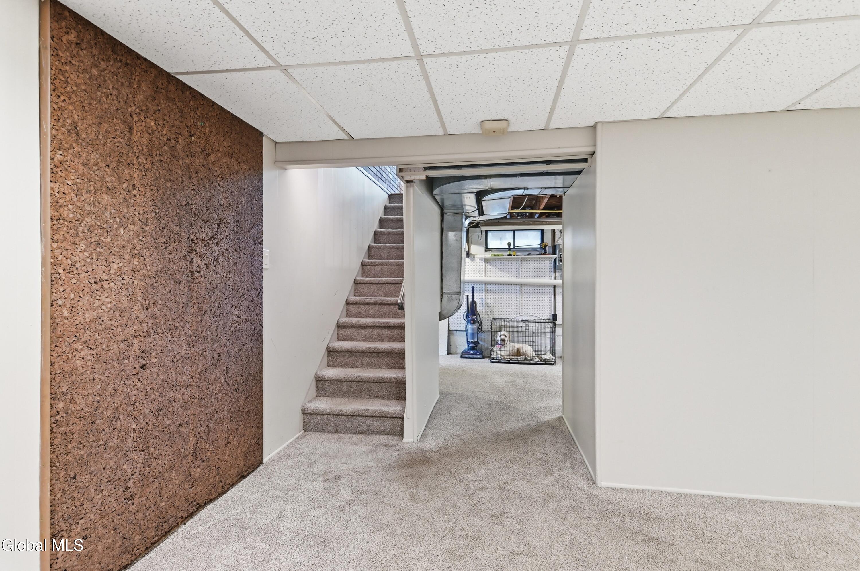 14 Lee Avenue Schenectady NY 12303