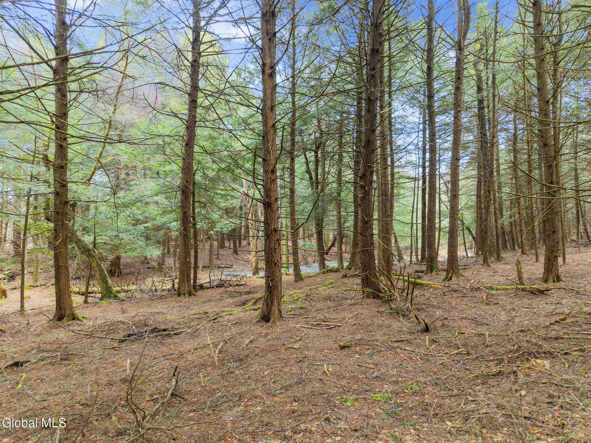 202 Blakesley Road Gilboa NY 12076