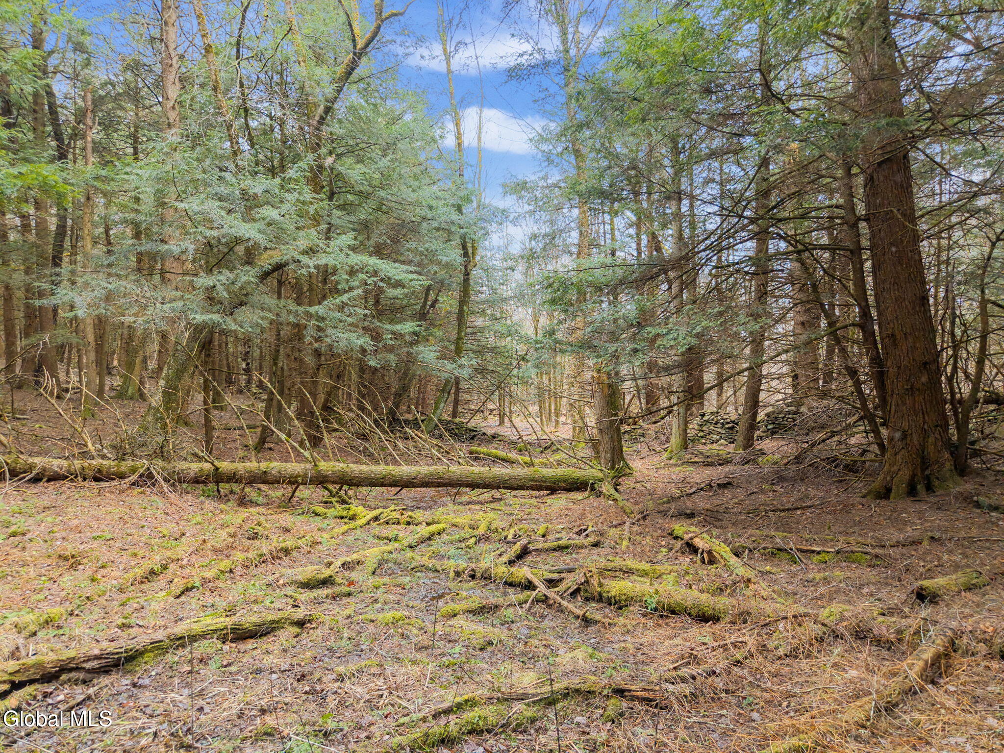 202 Blakesley Road Gilboa NY 12076