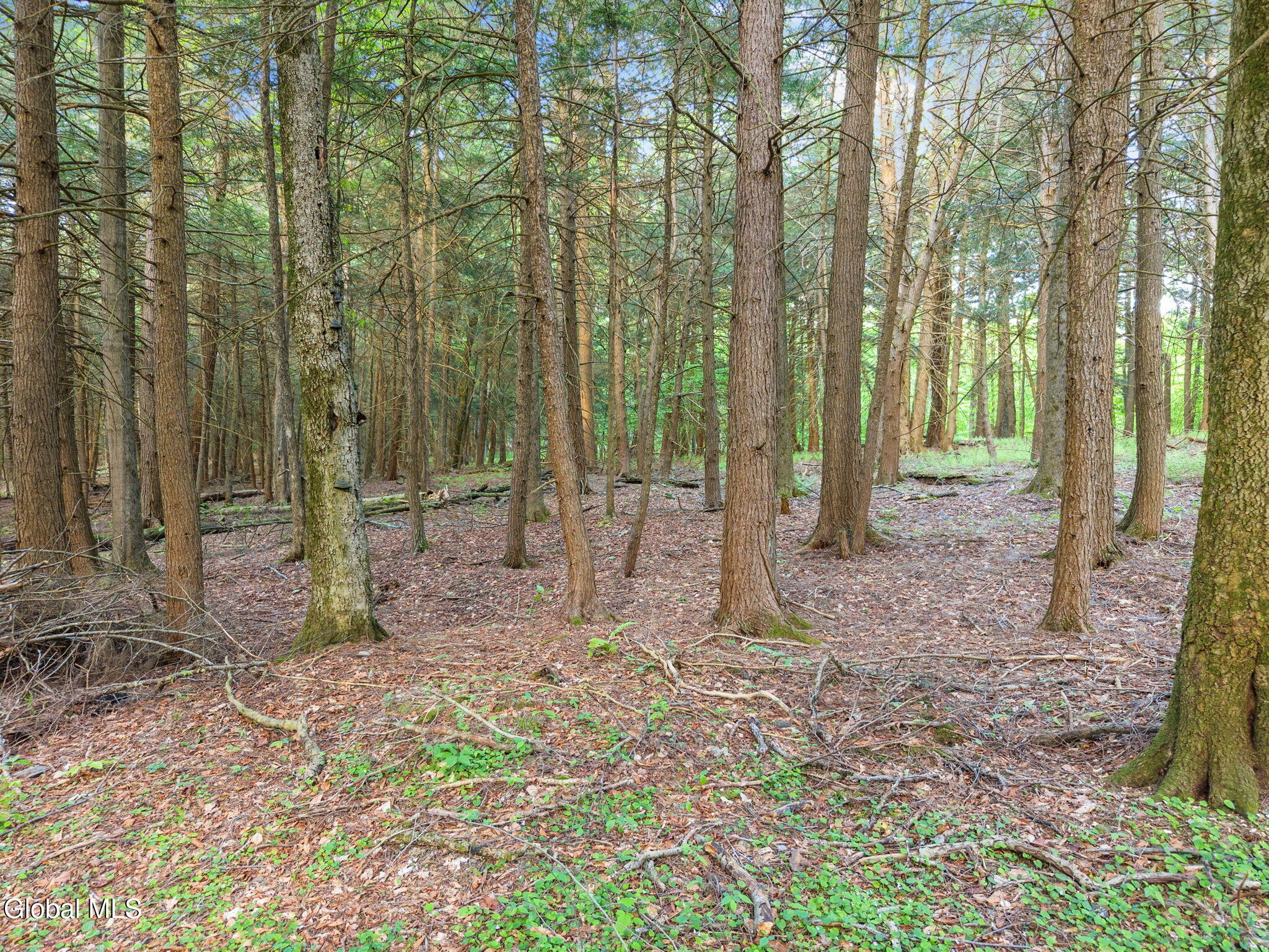 202 Blakesley Road Gilboa NY 12076