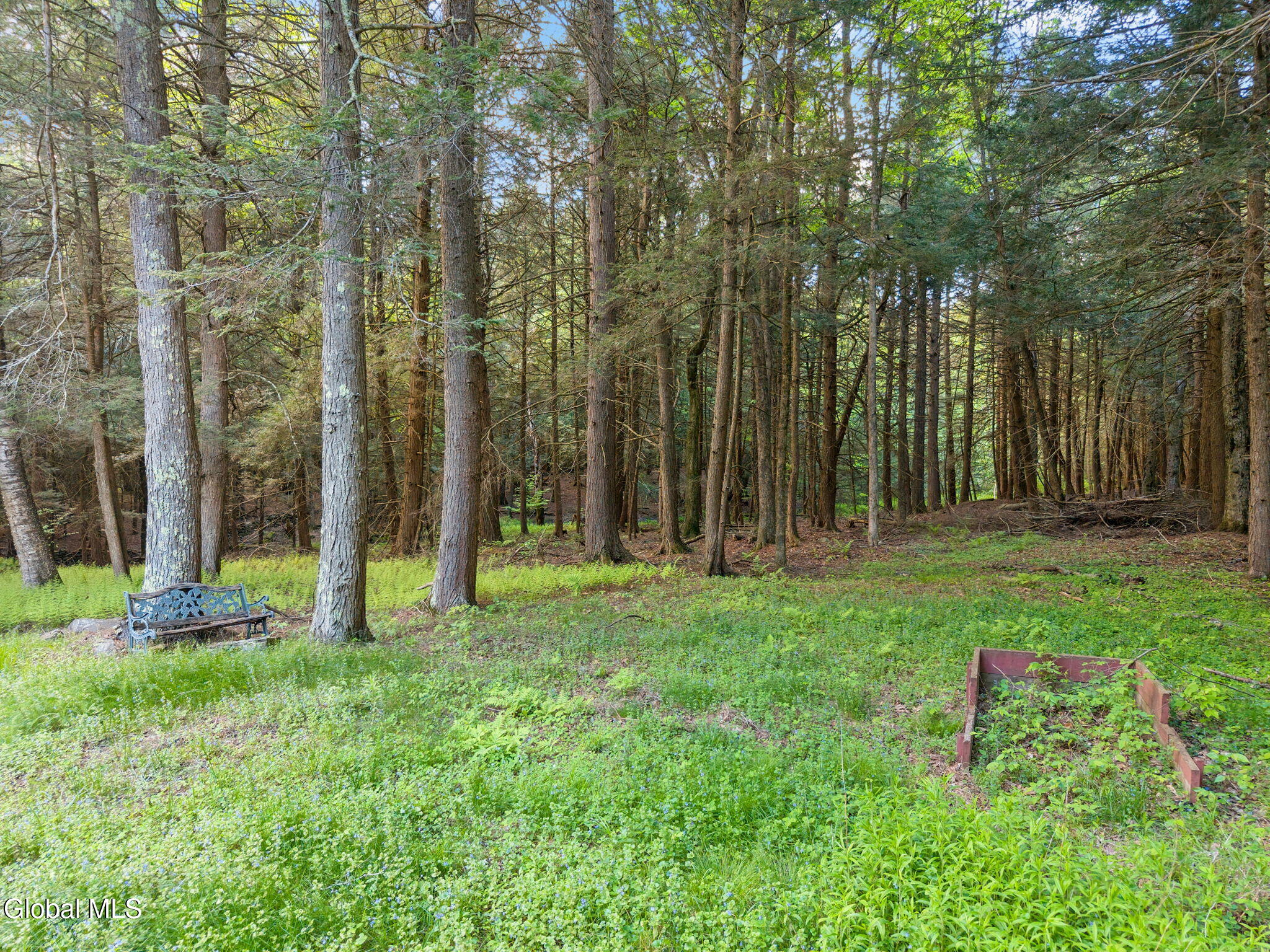 202 Blakesley Road Gilboa NY 12076