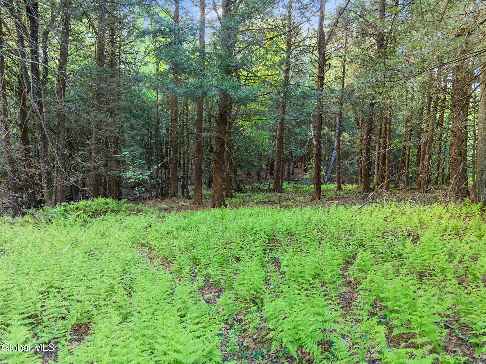 202 Blakesley Road Gilboa NY 12076