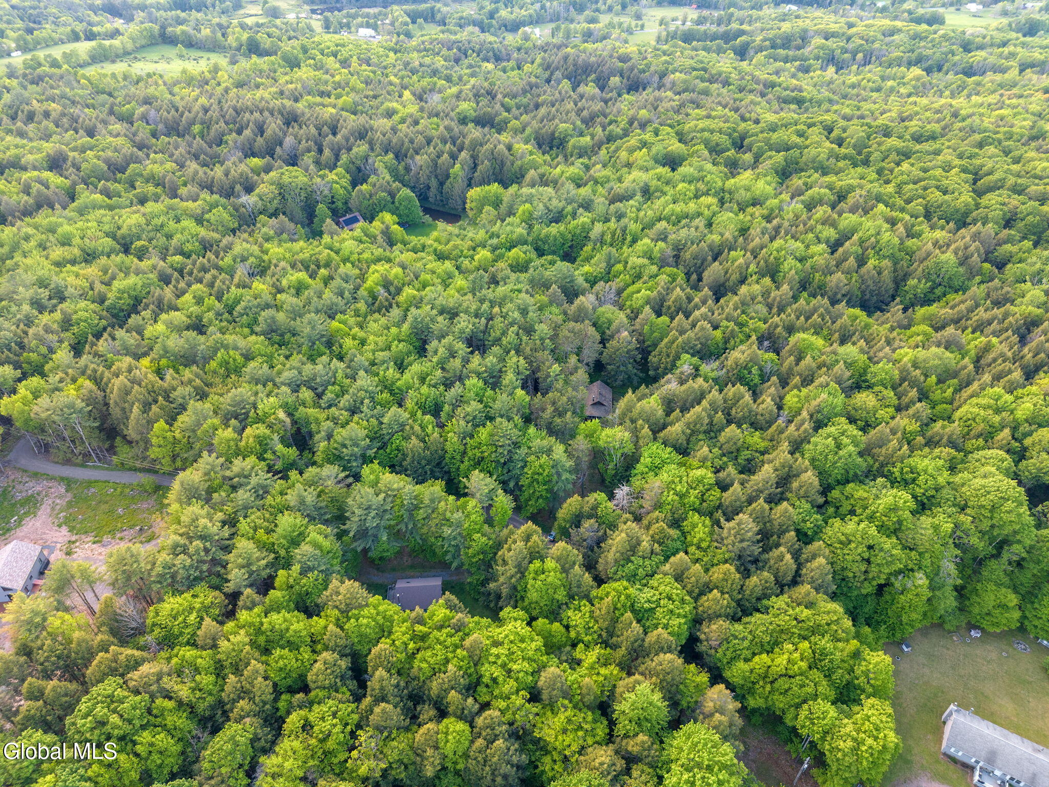 202 Blakesley Road Gilboa NY 12076
