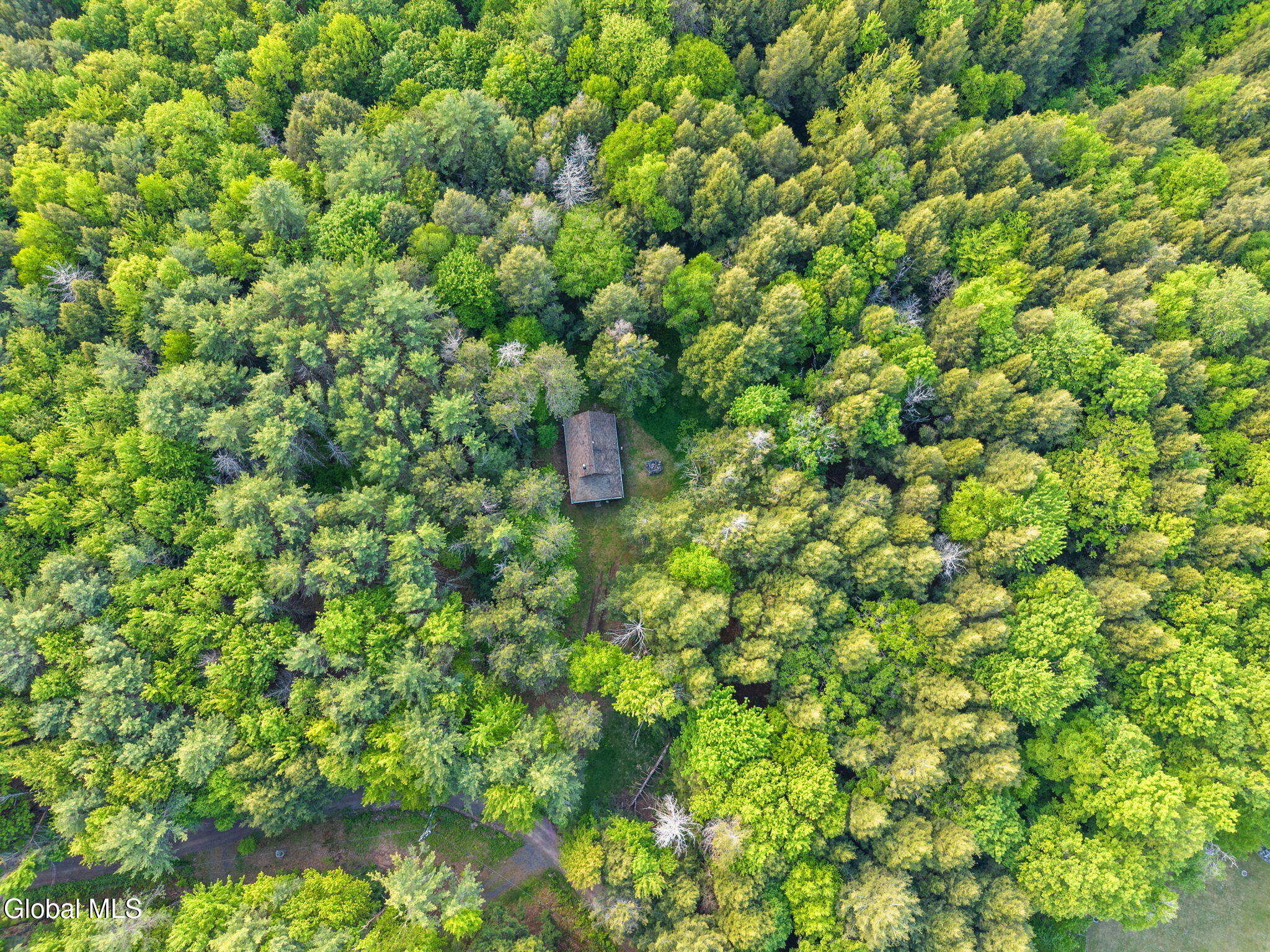 202 Blakesley Road Gilboa NY 12076