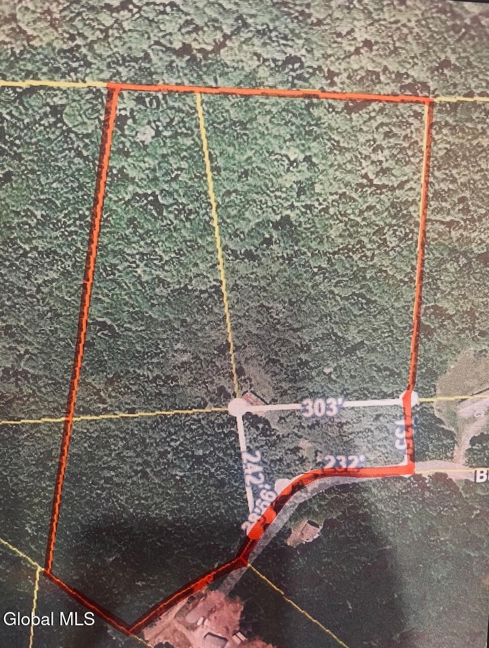 202 Blakesley Road Gilboa NY 12076