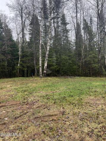 2837 County Route 26 Loon Lake NY 12989