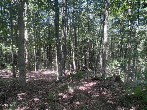 186 Hinds Road Galway NY 12074