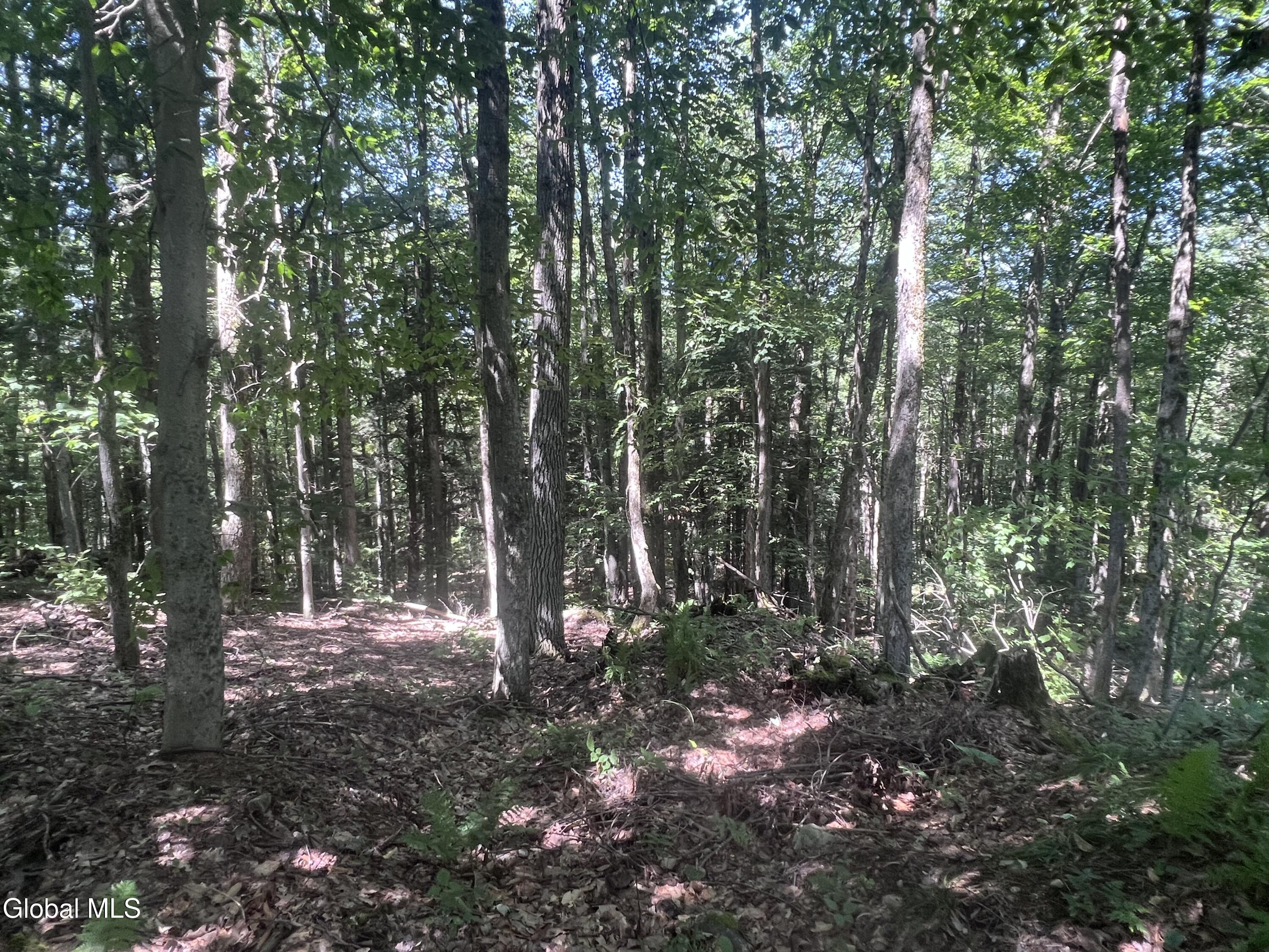 186 Hinds Road Galway NY 12074