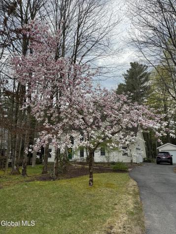 7 Bluebird Court Saratoga Springs NY 12866