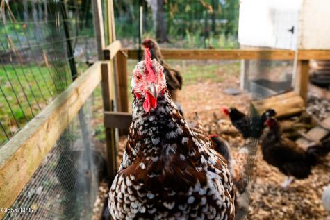 261 Old Post Road Ballston Spa NY 12020