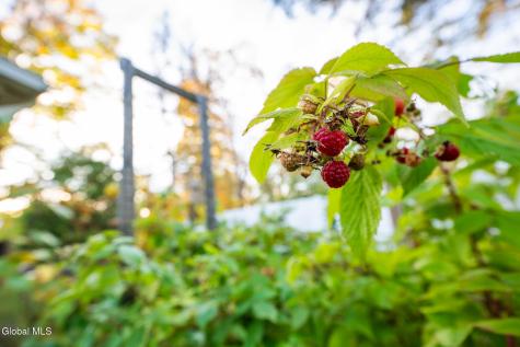 261 Old Post Road Ballston Spa NY 12020