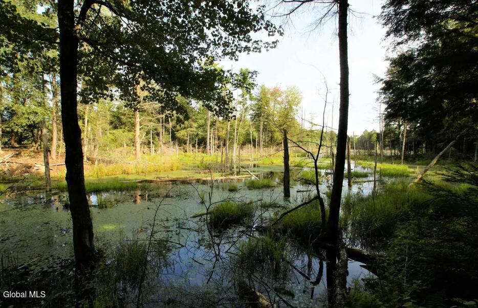 1276 Holcombville Road Whitehall NY 12887