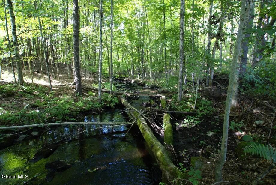 1276 Holcombville Road Whitehall NY 12887